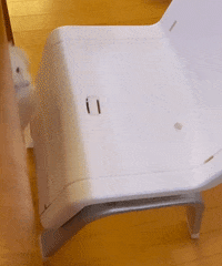 Cats Eat GIF