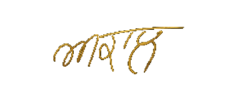 Punjabi Sticker by Desi Website