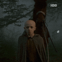 Game Of Thrones Walking GIF by HBO Max
