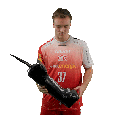 Handball Essen Sticker by DAIKIN HBL