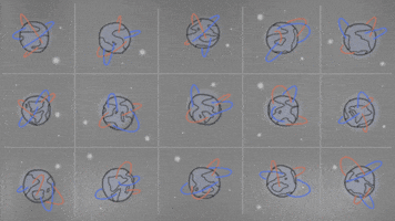 animation airplane GIF by Qieer Wang