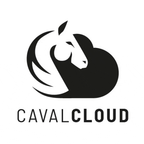 Cavalcloud giphygifmaker app horses chevaux GIF