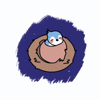 Night Bird GIF