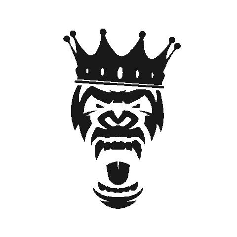 gymonezurich giphyupload gymone Sticker