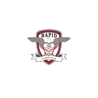 Rapid Bucuresti Football Sticker by Superliga Romania