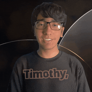 Timmy Timothee GIF