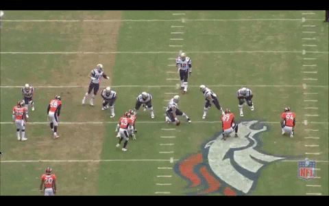 evanwinter88 giphygifmaker GIF
