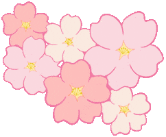 Cherry Blossom 桜 Sticker