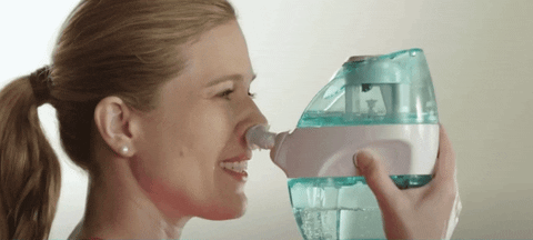 lotusmonger giphyupload 2020 nose cleaner GIF