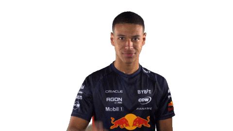 Red Bull Sr Sticker by Oracle Red Bull Racing