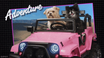 GIPHY PSA Adventure