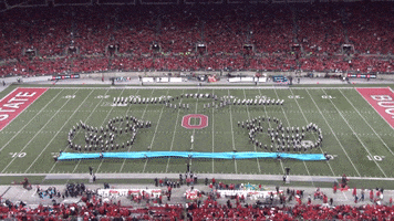Sesame Street Duck GIF by tbdbitl