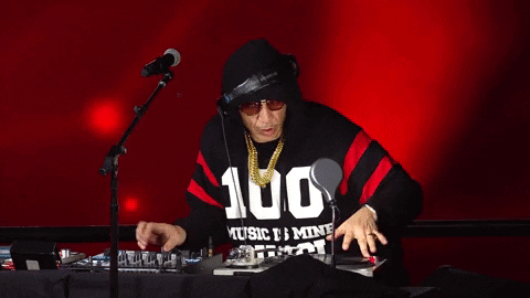Big Daddy Kane GIF by VERZUZ
