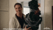 Christmas Hallmark Movies And Mysteries GIF by Hallmark Mystery