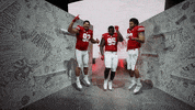 College Football GIF by Wisconsin Badgers