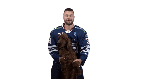 Hockey Hoki GIF by Fehervar AV19