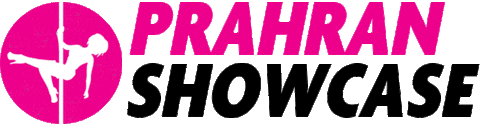 Showcase Lyra Sticker by Pole & Aerial Divas