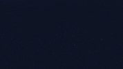 waldnig waldnig GIF