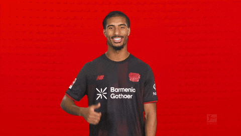 Bayer Leverkusen GIF by Bundesliga