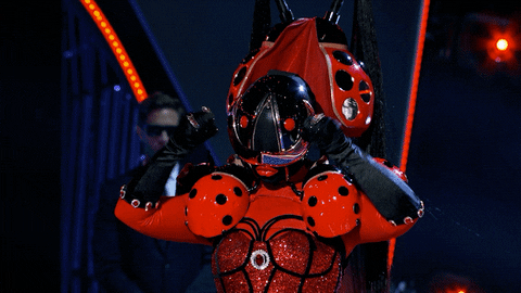 Fox Masks GIF by The Masked Singer