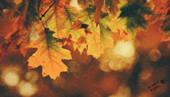 Its Fall Animation GIF by Kitsune Kowai