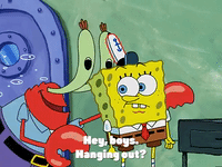 season 3 the great snail race GIF by SpongeBob SquarePants