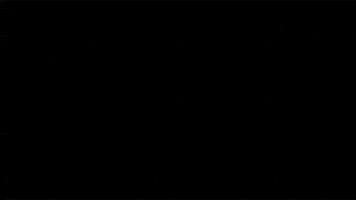 GIF by Huskers