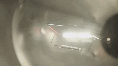 Art Video GIF by jorgemariozuleta