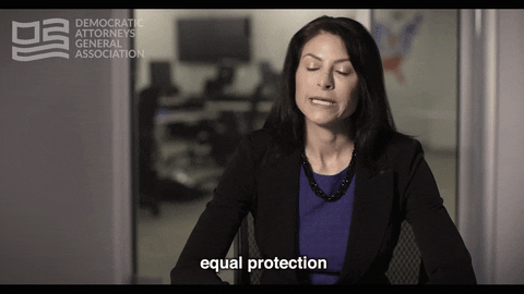 Attorney General Equality GIF by Democratic AGs