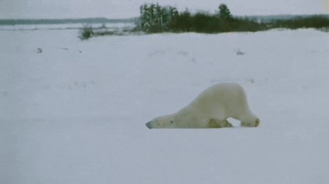 monday GIF