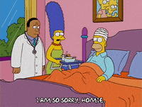 homer simpson GIF