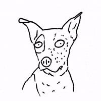 Shocked Dog GIF by butpoorlydrawn