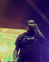 Rolling Loud GIF by Respective