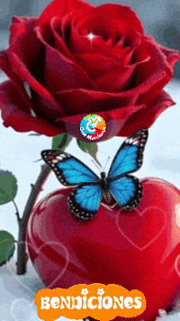 De Corazon Feliz GIF by Murcianys LLC