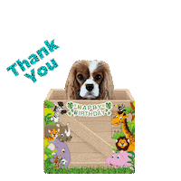 Happy Birthday Thanks Sticker by Pimp Yo Pets