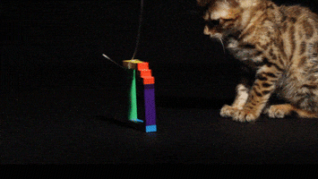 animation cat GIF by Originals