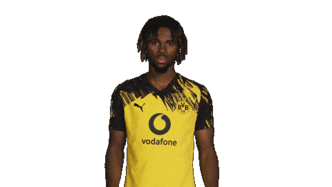 Borussia Dortmund Chukwuemeka Sticker by Bundesliga