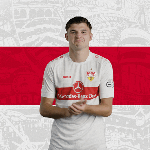 Football Soccer GIF by VfB Stuttgart