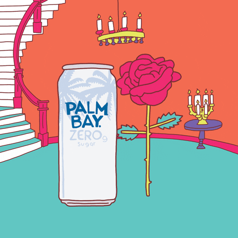 GIF by Palm Bay Spritz