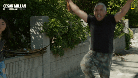 Dogwhisperer GIF by National Geographic Channel