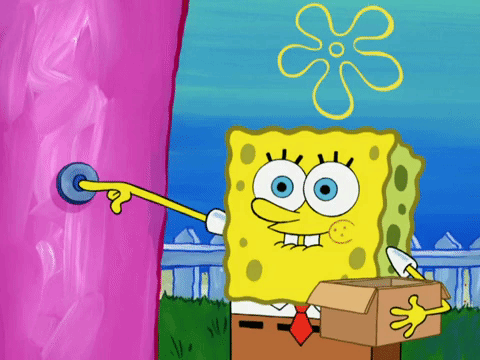 season 6 pet or pets GIF by SpongeBob SquarePants