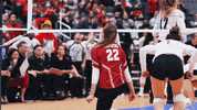 Wisconsin Volleyball Badger GIF by Wisconsin Badgers