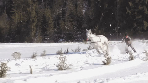 claramouilleseaux giphyupload GIF