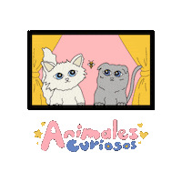 White Cat Cats Sticker