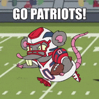 Super Bowl Running GIF by Web3 Playboys