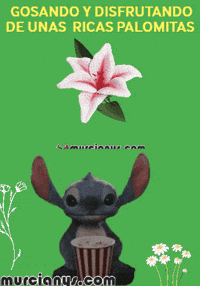 Radio Disfrutando GIF by Murcianys LLC