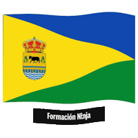 Castilla Y Leon Flag Sticker by Formación Ninja