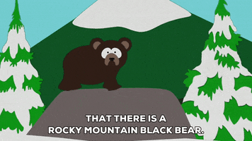 bear GIF by South Park 