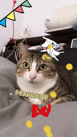 wilsw645 giphyupload GIF