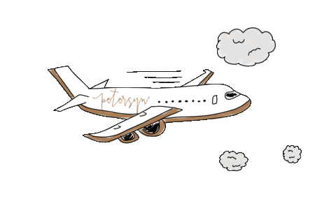 travel flying away Sticker by Petersyn
